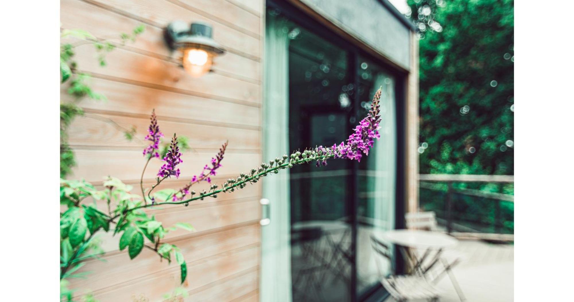 Clophill Eco Lodges Buitenkant foto